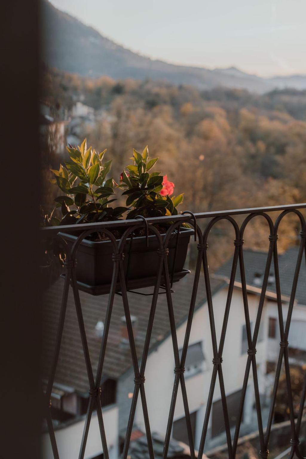 Guesthouse Giulietta E Romeo Cossogno Dış mekan fotoğraf